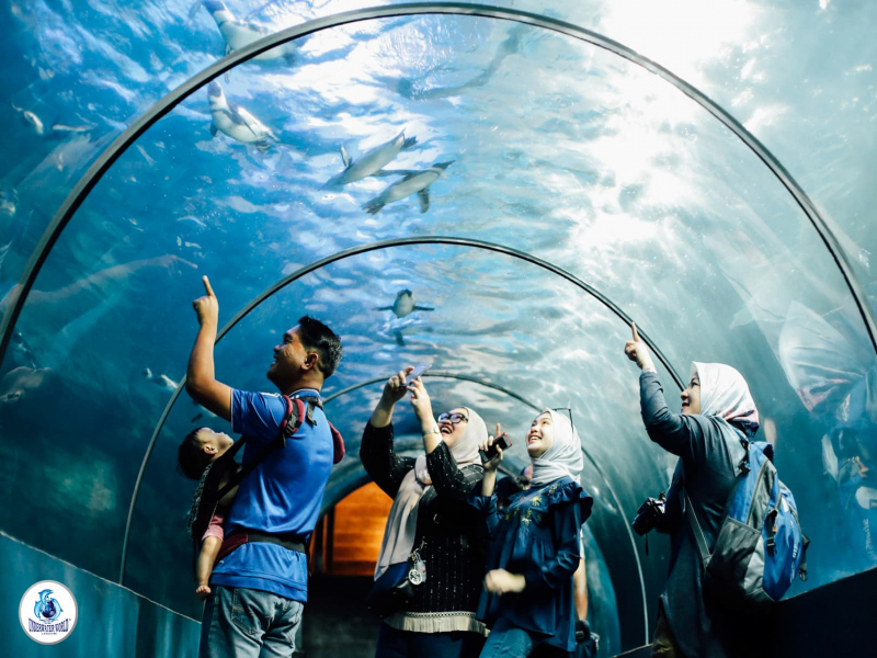 Tourists at the penguinarium tunnel in underwater world langkawi